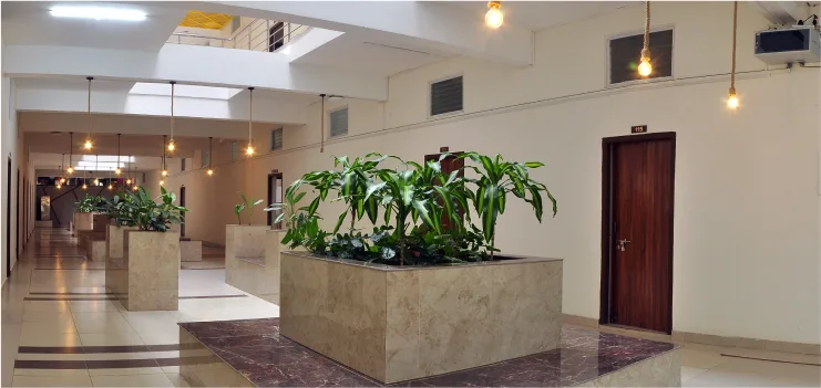 campus 8