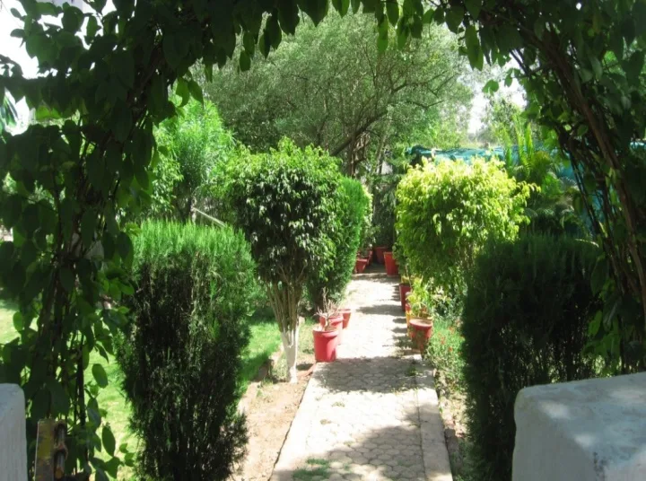 HERBAL MEDICINAL GARDEN – NIPS — NRI Institute of Pharmaceutical Sciences