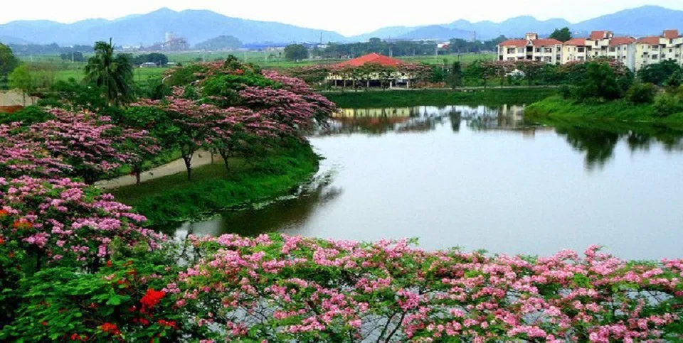 Serpentine — iit-guwahati