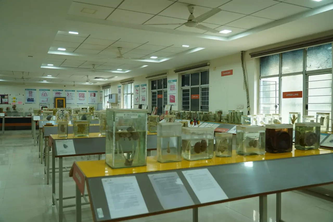 Specimen display hall of the anatomy museum at Malla Reddy Institute of Medical Sciences, Hyderabad