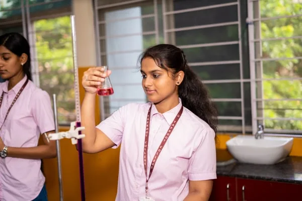 BCA Programme at Ramanashree Academy